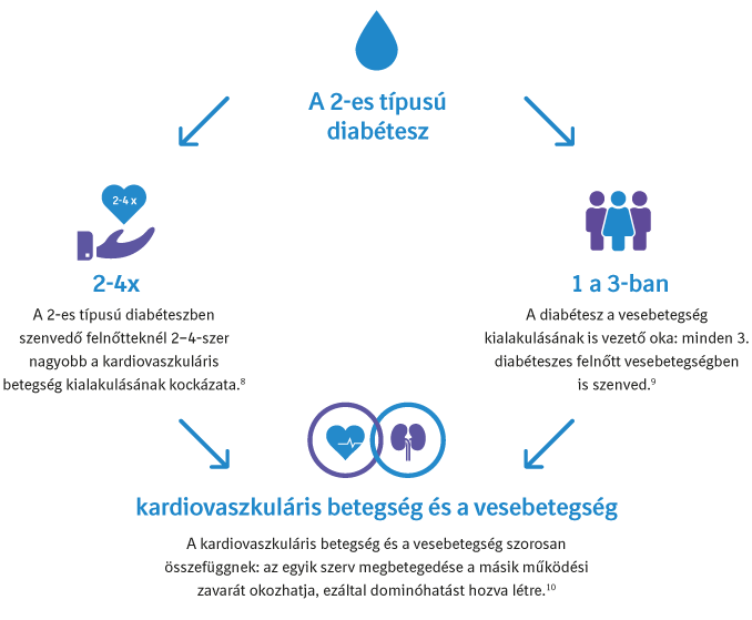 A 2-es típusú diabétesz és a kardiovaszkuláris betegség, illetve a vesebetegség közötti kapcsolatot bemutató vázlatos ábra. Act4Diabetes (Kezelje a diabéteszt!)