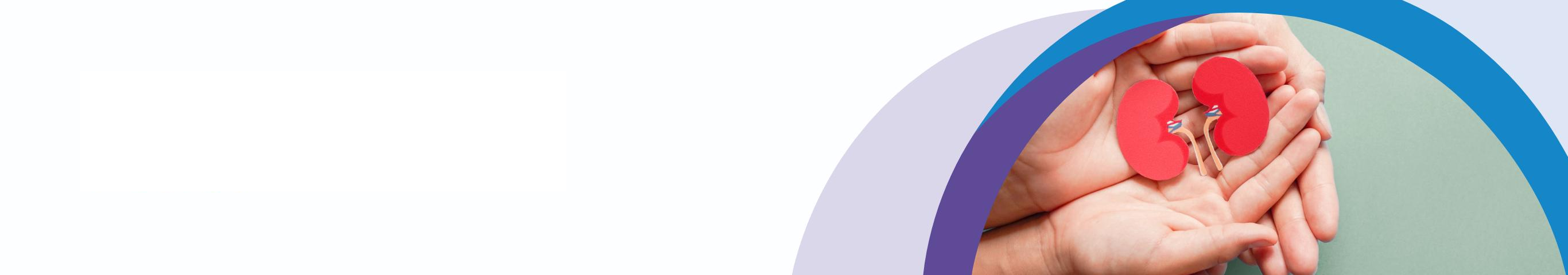 About chronic kidney disease