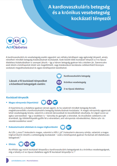 A kardiovaszkuláris betegség és a krónikus vesebetegség kockázati tényezői